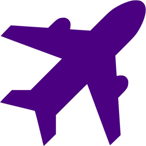 Indigo Airport Icon