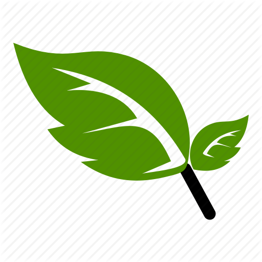Flower, Green, Leaf, Natural, Nature Icon
