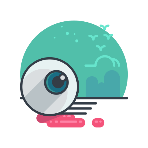 Eyeball Icon