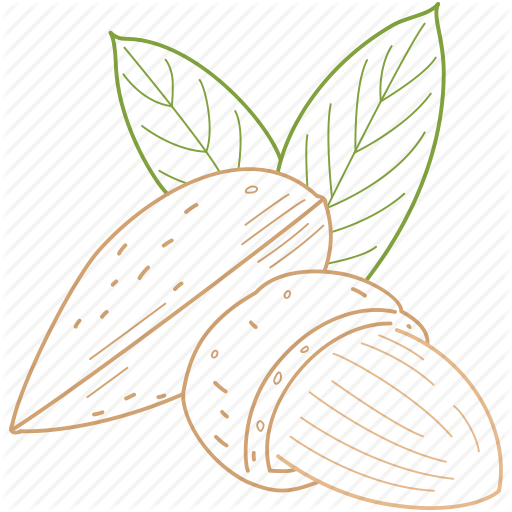 Almond, Almonds, Cake, Food, Healthy Food, Nuts, Organic Icon
