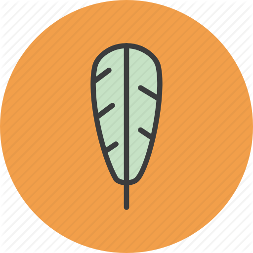 American, Eagle, Feather, Native, Thanksgiving, Turkey Icon