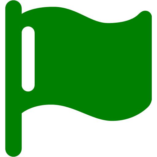 Green Flag Icon