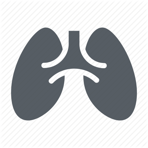 Anatomy, Healthcare, Lungs, Medical, Organ, People Icon