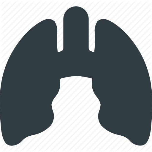 Anatomy, Lung, Lungs, Medical, Organ Icon