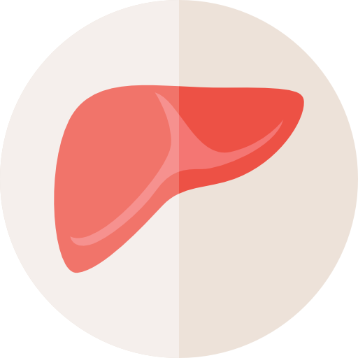 Anatomy Icon
