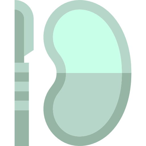 Anatomy Icon
