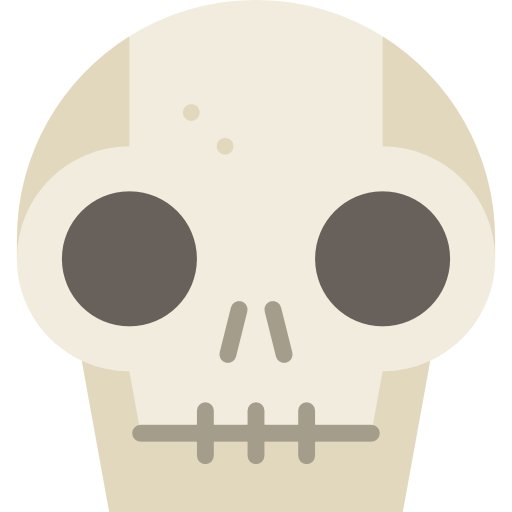 Anatomy Icon