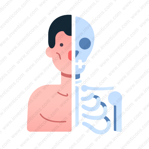 Download Anatomy Icon Inventicons