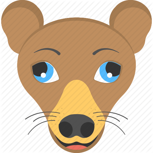 Brown Chiwawa, Chiwawa Face, Dog Face, Domestic Animal, Pet Animal