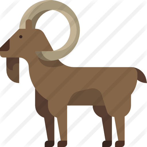 Goat