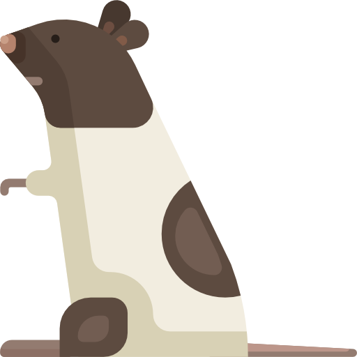 Wild Life, Animals, Animal, Horse, Animal Kingdom, Zoo Icon