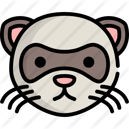 Ferret
