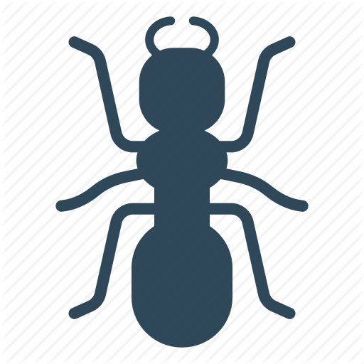 Ant, Bird, Bug, Crawl, Insect Icon