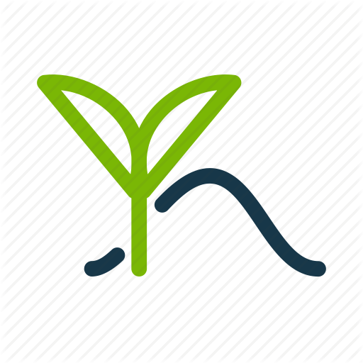 Antioxidant, Leaf, Matcha, Plant, Tea Icon