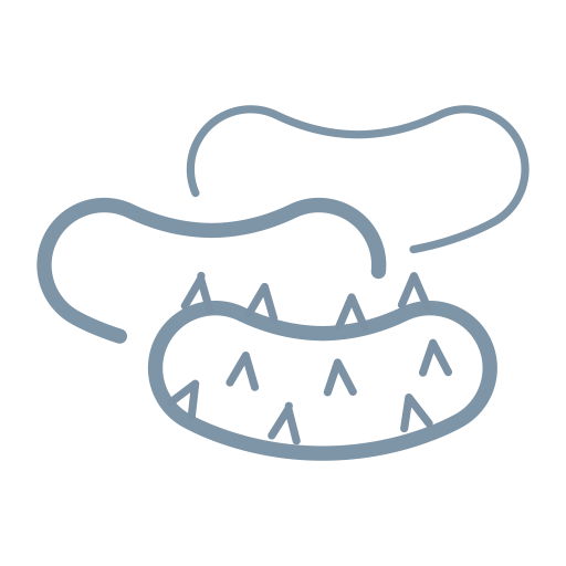 Salad Icons, Download Free Png And Vector Icons, Unlimited Free