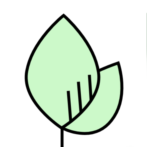 Why Matcha Green Tea Is The Key To Diet Detox