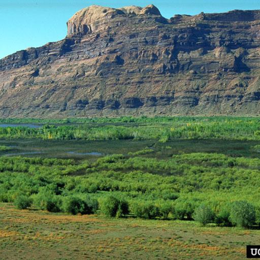 Using Arcgis To Analyze And Predict Invasions