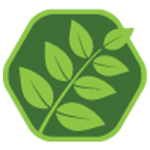 Year Ash Green Primary Academy