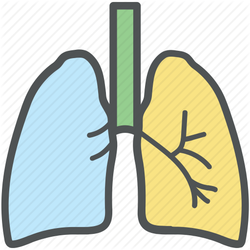 Asthma Icon at GetDrawings | Free download