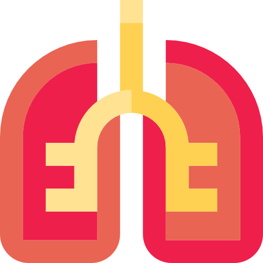 Lungs Icons Free Download