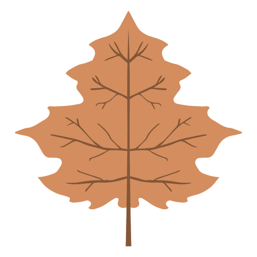 Isolated Brown Autumn Leaf