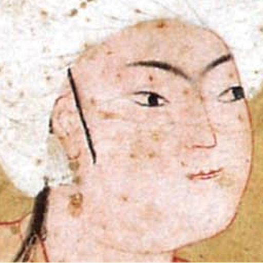 Arash Zeini My Personal Website