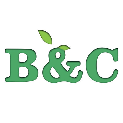 Cropped Website Icon