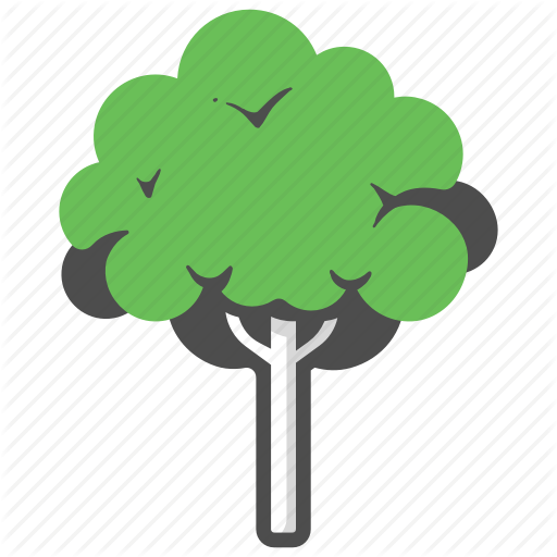 Forest, Garden, Mahogany, Mahogany Tree, Nature, Park, Tree Icon