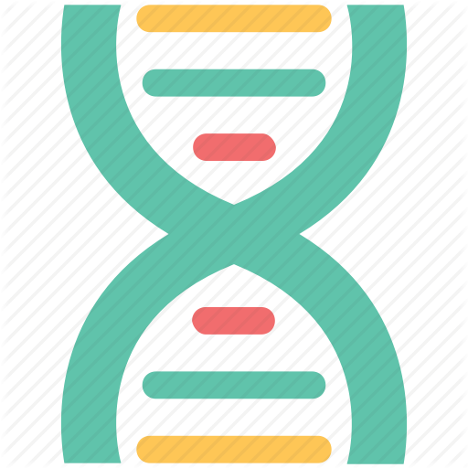Dna, Dna Chain, Genetic Information, Molecule, Nucleic Acid Icon