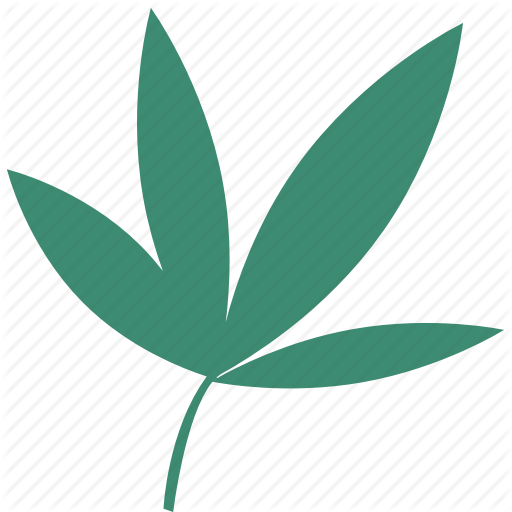 Bamboo, Leaf Icon