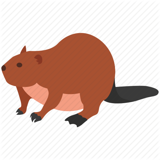 American, Animal, Beaver, Canada, Eurasian, Fur, Pelt Icon