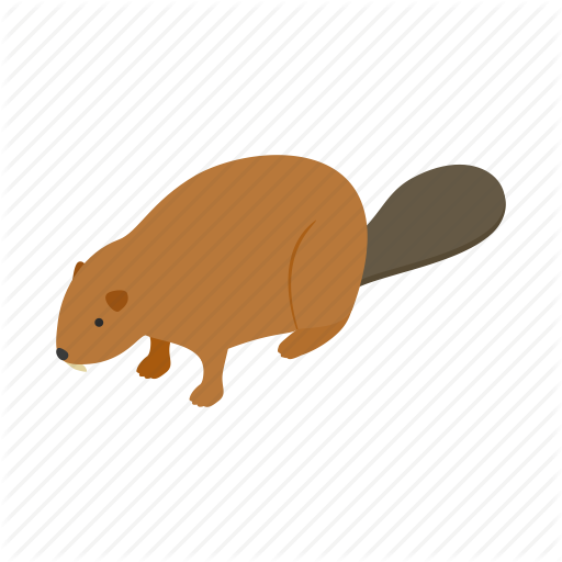 Animal, Beaver, Canada, Canadian, Fur, Isometric, Wildlife Icon
