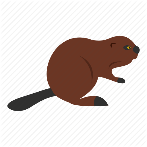 Animal, Beaver, Canada, Canadian, Fur, Nature, Wildlife Icon