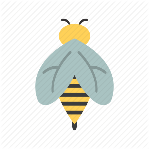 Bee, Honey, Insect Icon