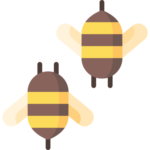 Bees Bee Png Icon