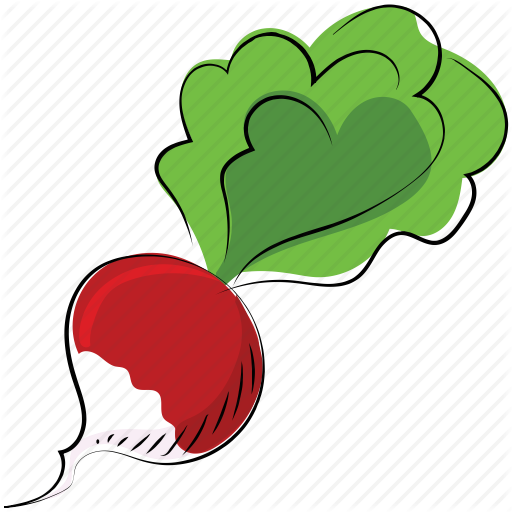 Beetroot, Beets, Garden Beet, Healthy Diet, Red Beet, Table Beet Icon