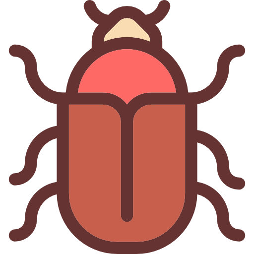 Beetle Icon