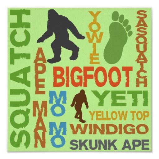 Names For Bigfoot Poster Sasquatch And Other
