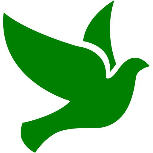 Green Bird Icon