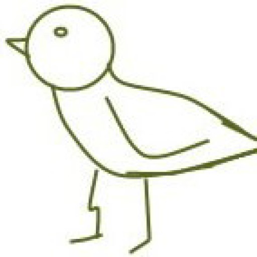 Cropped Cropped Bird Icon Cropped Jenae Cohn