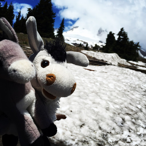 Adventuresofandrewandallison