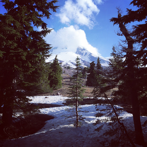 Adventuresofandrewandallison