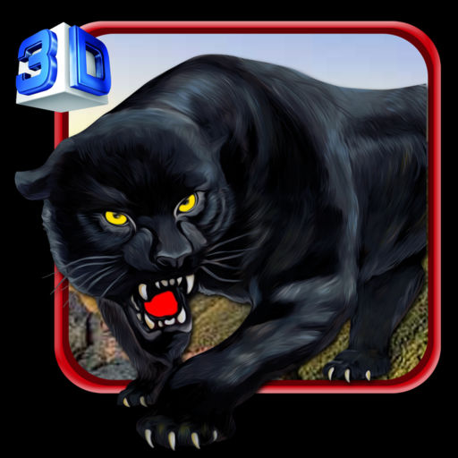 Wild Stray Black Panther