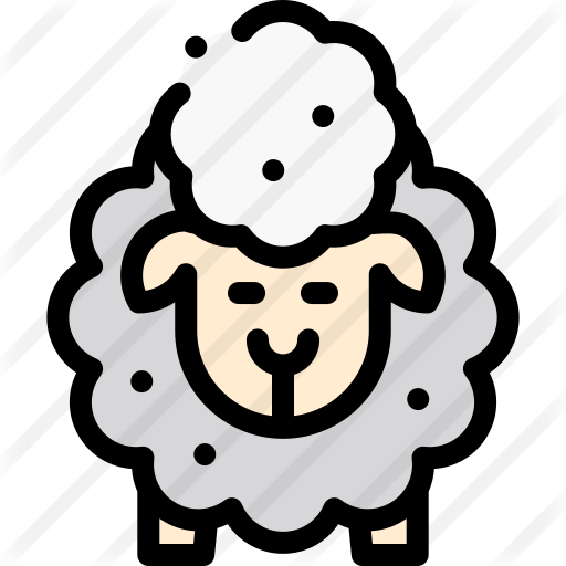 Sheep