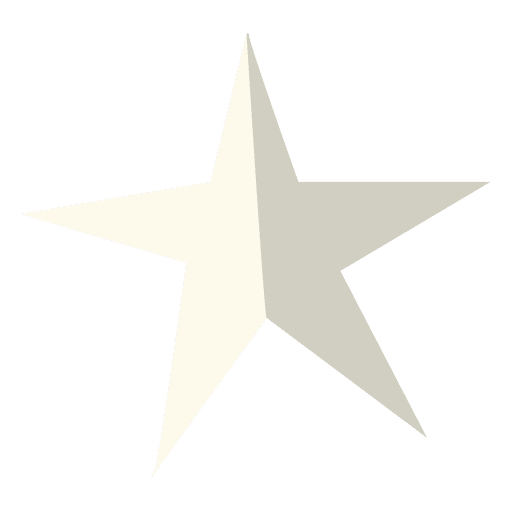 Star Flat Icon