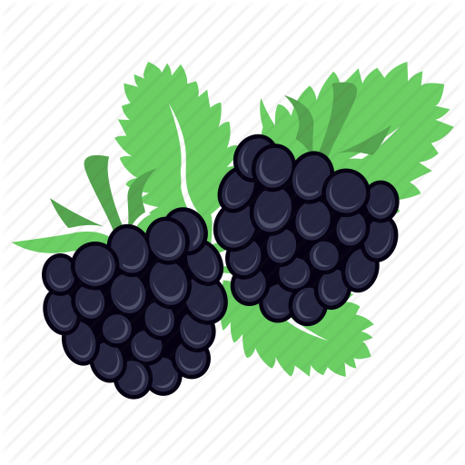 Berry, Blackberry, Food, Fruit Icon