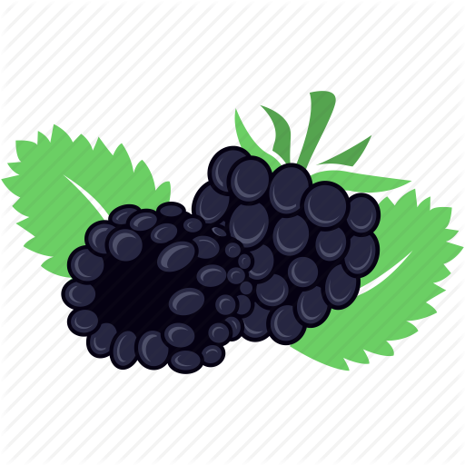 Berry, Blackberry, Fruit, Fruits Icon