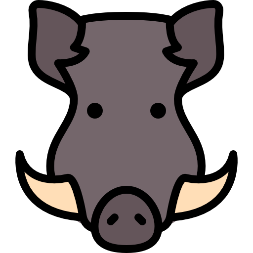 Boar