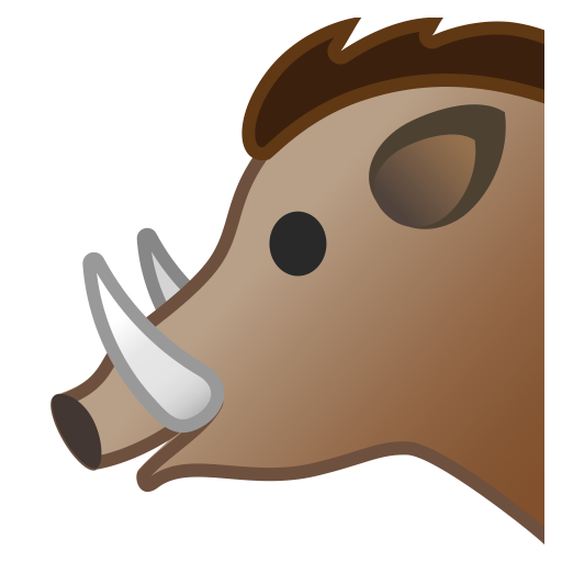 Boar Icon Noto Emoji Animals Nature Iconset Google