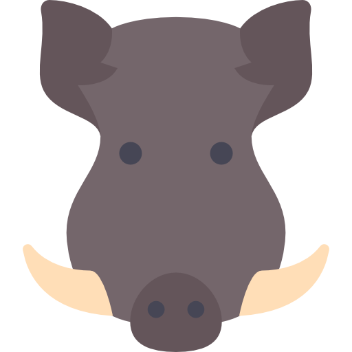 Boar Icon